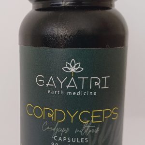 Cordyceps - 90 Capsules 50:1 Extract