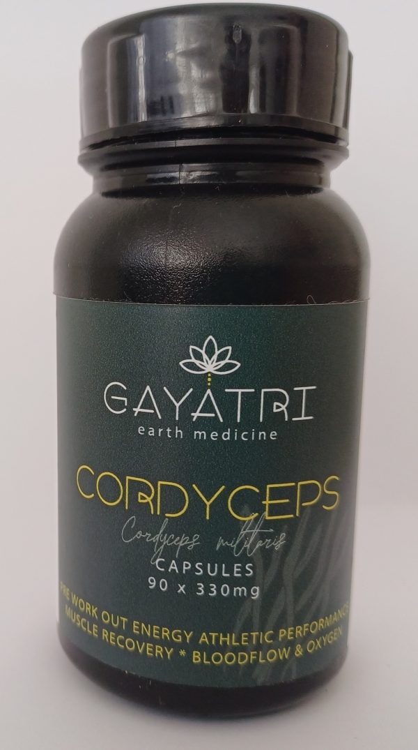 Cordyceps - 90 Capsules 50:1 Extract
