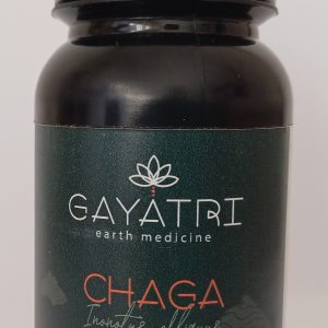 Chaga Superfood