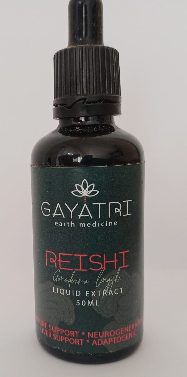Reishi Mushroom